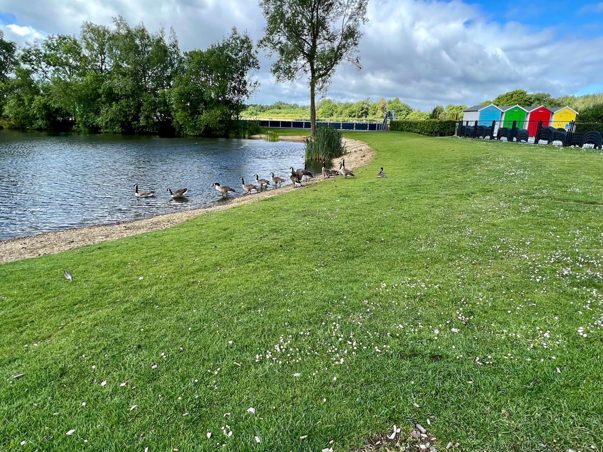 Cottontail Lodge - Hot Tub - Pet Friendly South Cerney Exterior foto